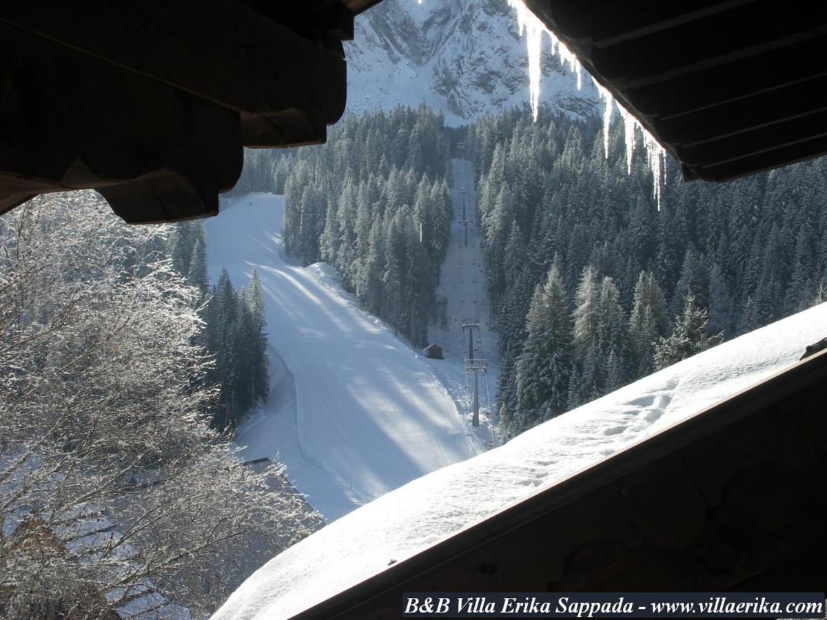 Erika Maison d'hôtes Sappada